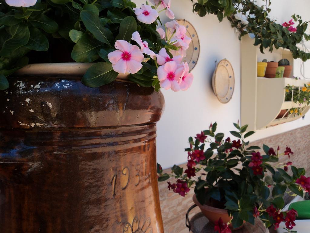 B&B Il Viandante Mesagne Extérieur photo